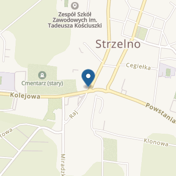 Przedszkole nr 1 w Strzelnie na mapie