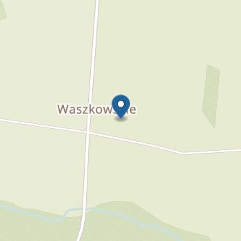 Przedszkole Publiczne w Waszkowskiem na mapie
