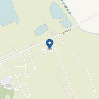 Niepubliczne Przedszkole "Wesołe Nutki" na mapie