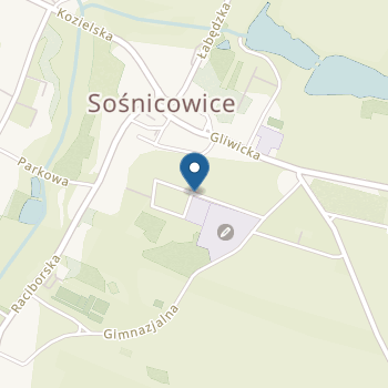 Miejskie Przedszkole w Sośnicowicach na mapie