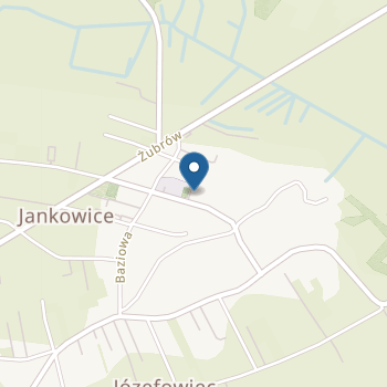Przedszkole w Jankowicach w Zespole Szkolno-Przedszkolnym w Jankowicach na mapie