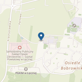 Przedszkole Publiczne nr 3 w Łęcznej na mapie