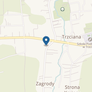 Publiczne Przedszkole w Trzcianie na mapie