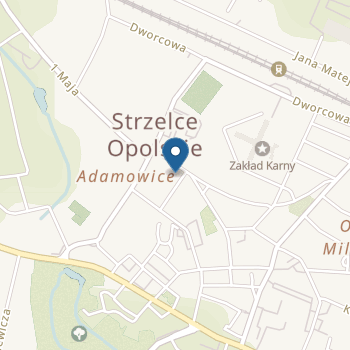 Przedszkole Publiczne nr 4 w Strzelcach Opolskich na mapie