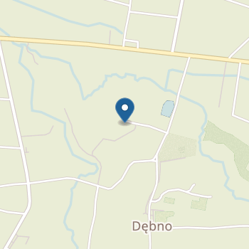 Przedszkole Publiczne w Dębnie na mapie