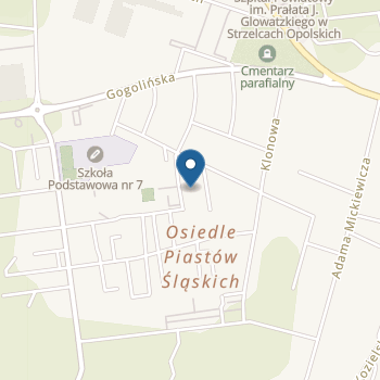 Przedszkole Publiczne nr 9 w Strzelcach Opolskich na mapie