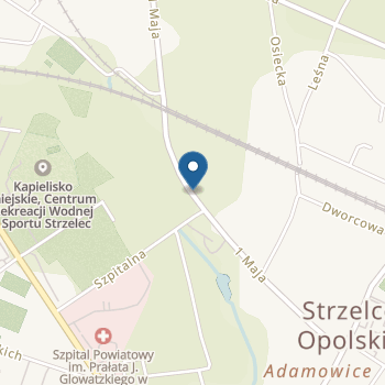 Przedszkole Publiczne w Dziewkowicach na mapie