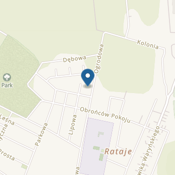 Przedszkole Niepubliczne Promyk Joanna Małyniak na mapie