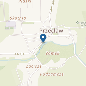 Niepubliczne Przedszkole "Wyspa Malucha" na mapie