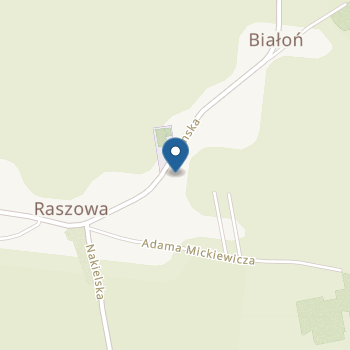 Zespół Szkolno - Przedszkolny Stowarzyszenia Pro- Liberis Silesiae Przedszkole w Raszowej na mapie