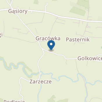 Przedszkole "Bajkolandia" w Golkowicach na mapie