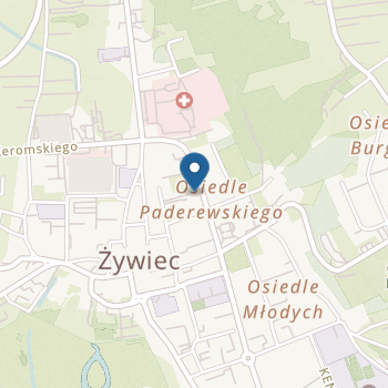 Niepubliczne Przedszkole Sportowo - Artystyczne Aktive Kids na mapie