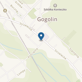 Publiczne Przedszkole nr 3 im. Karlika i Karolinki w Gogolinie na mapie