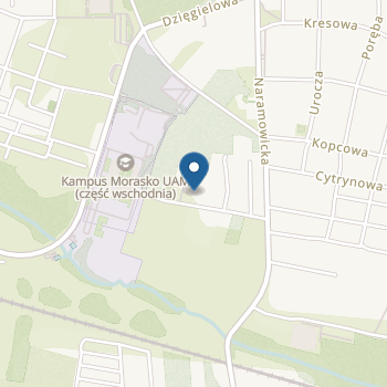 Curious Owlie Hopslie & Ciekawski Jeż o Zwierz Przedszkole Niepubliczne Reggio Emilia na mapie