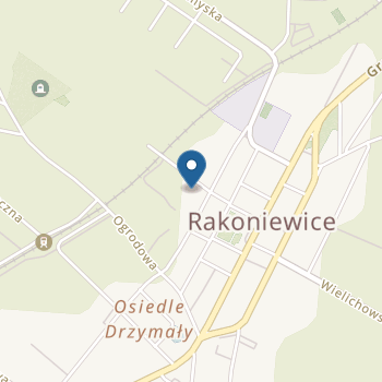 Przedszkole Różany Ogród w Rakoniewicach na mapie