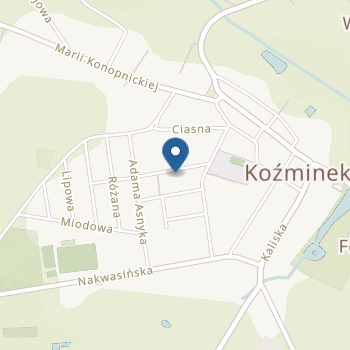 Publiczne Przedszkole Bajkowa Kraina w Koźminku na mapie