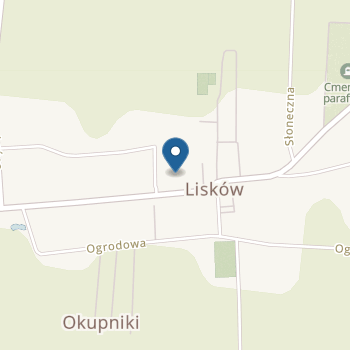 Przedszkole Publiczne Sióstr Służebniczek im. Bł. E. Bojanowskiego N. M. p w Liskowie na mapie