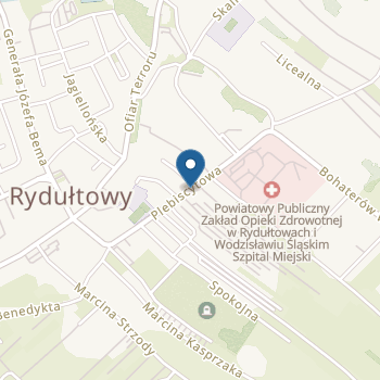 Katolickie Przedszkole Niepubliczne Zgromadzenia Sióstr Służebniczek Nmp im. Bł. E. Bojanowskiego w Rydułtowach na mapie