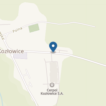 Przedszkole Publiczne w Kozłowicach na mapie