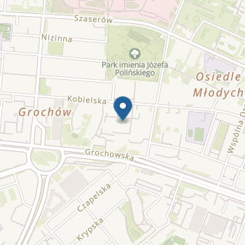 Przedszkole Specjalne nr 249 na mapie
