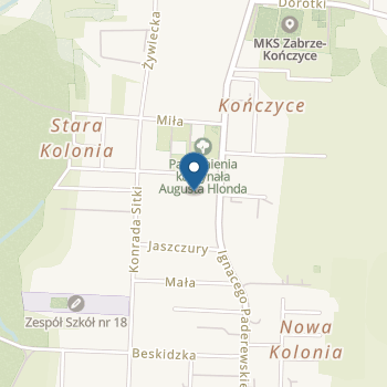 Przedszkole nr 29 w Zabrzu na mapie