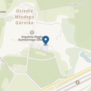 Przedszkole nr 22 w Zabrzu w Zespole Szkolno-Przedszkolnym nr 9 w Zabrzu na mapie