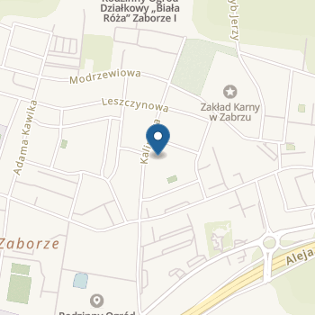Przedszkole nr 47 im. Janusza Korczaka w Zabrzu na mapie