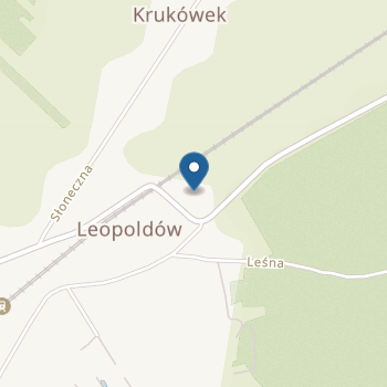 Samorządowe Przedszkole w Leopoldowie na mapie