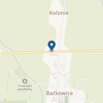 Gminne Przedszkole w Baćkowicach na mapie