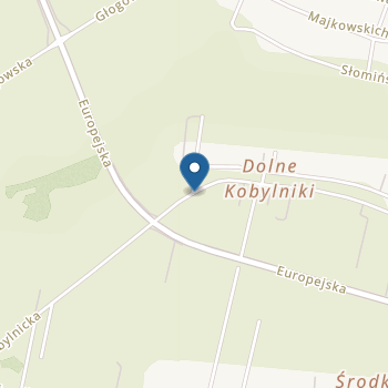 Przedszkole Samorządowe w Grodzisku Dolnym na mapie