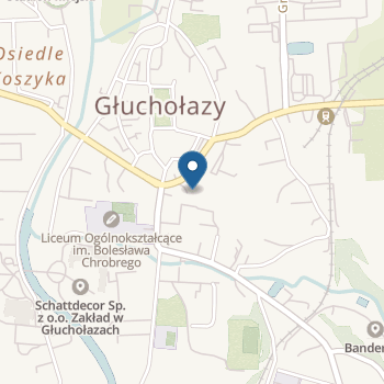 Publiczne Przedszkole nr 1 Im."Bajka" w Głuchołazach na mapie