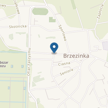 Przedszkole Samorządowe w Brzezince na mapie