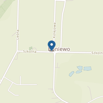 Publiczne Przedszkole w Boniewie na mapie