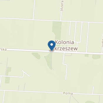 Publiczne Przedszkole w Skrzeszewie na mapie