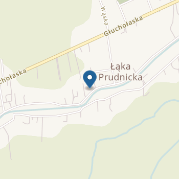 Publiczne Przedszkole "Pod Kasztanem" w Łące Prudnickiej na mapie