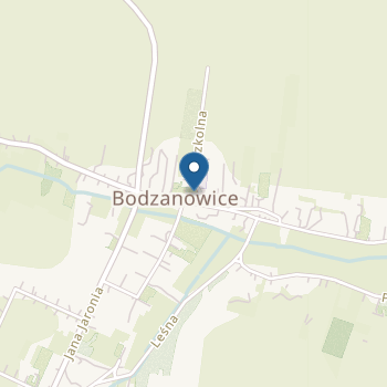 Publiczne Przedszkole w Bodzanowicach na mapie