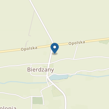 Publiczne Przedszkole w Bierdzanach na mapie