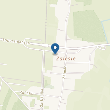 Publiczne Przedszkole w Zalesiu na mapie