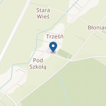 Publiczne Samorządowe Przedszkole w Trześni na mapie