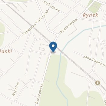 Ochronka Zgromadzenia Sióstr Służebniczek Bdnp Niepubliczne Przedszkole w Rudniku nad Sanem na mapie