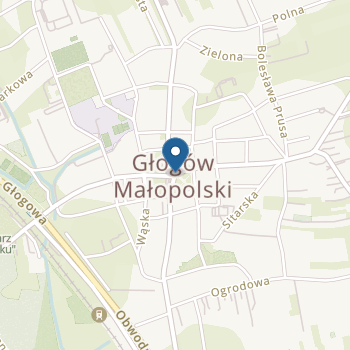 Publiczne Przedszkole w Głogowie Małopolskim na mapie