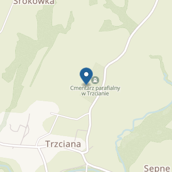 Przedszkole w Trzcianie na mapie