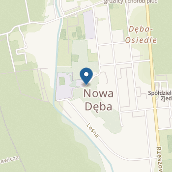 Przedszkole nr 1 w Nowej Dębie na mapie