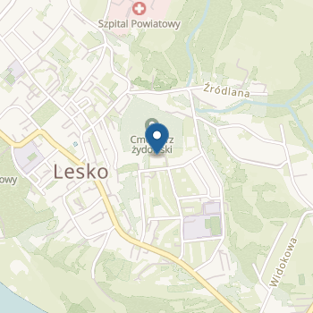 Przedszkole Samorządowe im. Misia Uszatka w Lesku na mapie