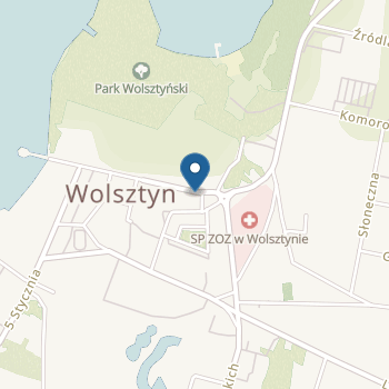 Niepubliczne Przedszkole Sióstr Miłosierdzia św. Wincentego a Paulo w Wolsztynie na mapie
