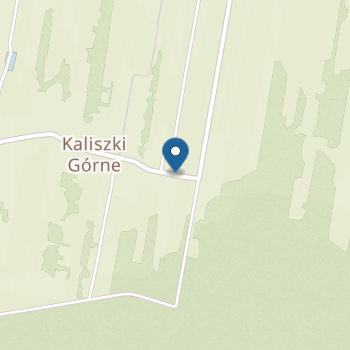 Niepubliczne Przedszkole "Gumisiowe Przedszkole Językowe" na mapie