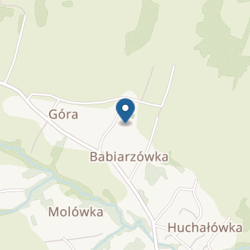 Przedszkole Samorządowe w Siołkowej na mapie