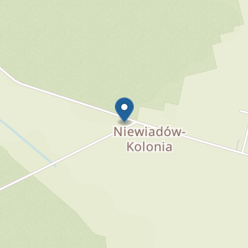 Przedszkole Samorządowe w Osiedlu Niewiadów na mapie