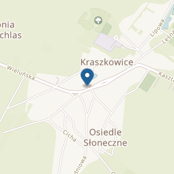 Publiczne Przedszkole w Kraszkowicach na mapie