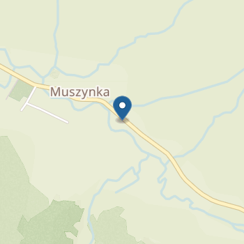 Niepubliczne Przedszkole w Muszynce na mapie